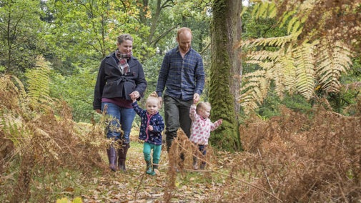 A family walks along a path through an autumn forest